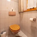 Horská chata Elfi *